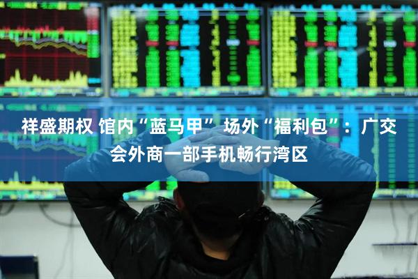 祥盛期权 馆内“蓝马甲” 场外“福利包”：广交会外商一部手机畅行湾区