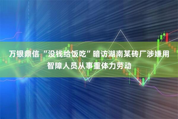 万银鼎信 “没钱给饭吃”暗访湖南某砖厂涉嫌用智障人员从事重体力劳动