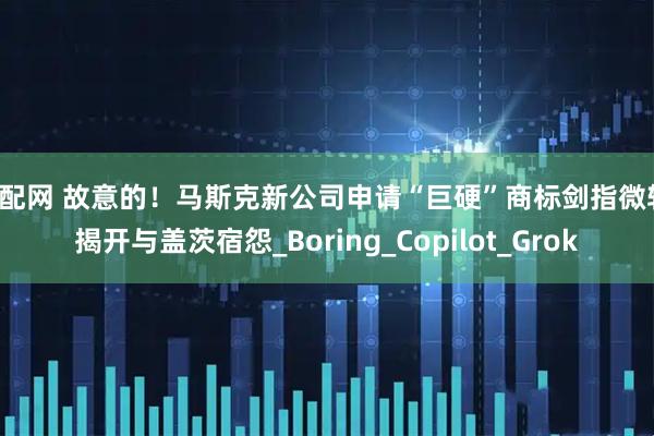 盈配网 故意的！马斯克新公司申请“巨硬”商标剑指微软，揭开与盖茨宿怨_Boring_Copilot_Grok