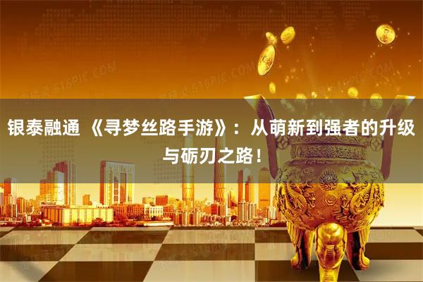 银泰融通 《寻梦丝路手游》：从萌新到强者的升级与砺刃之路！