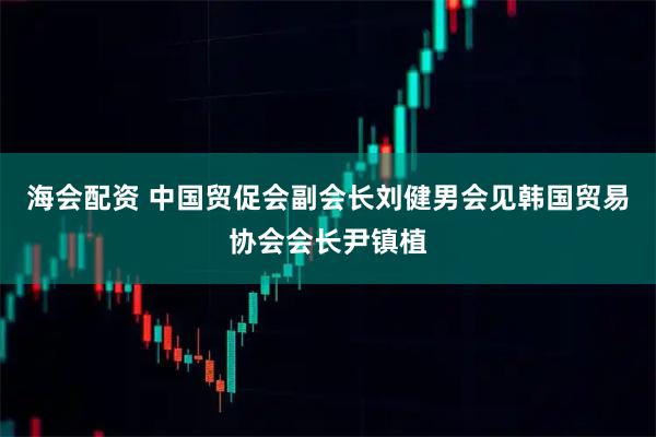 海会配资 中国贸促会副会长刘健男会见韩国贸易协会会长尹镇植