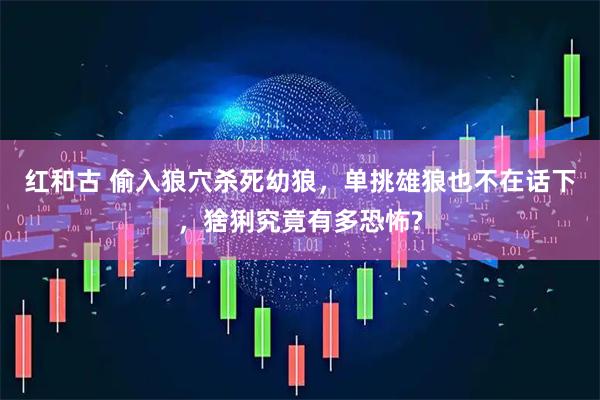 红和古 偷入狼穴杀死幼狼，单挑雄狼也不在话下，猞猁究竟有多恐怖?